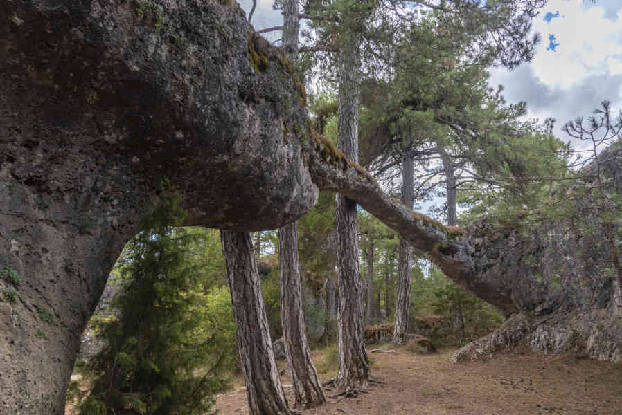 Cuenca - Valdecabras - Ciudad Encantada 39 - la lucha entre el Elefante y el Cocodrilo.jpg